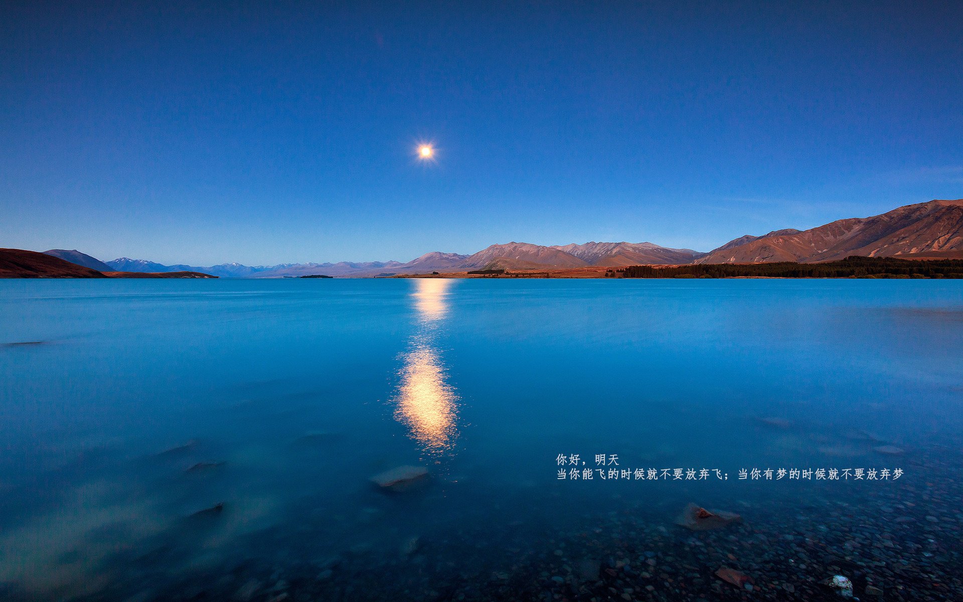 北欧魔咒的破壁人,厄德高在瑞典掀起黄黑风暴