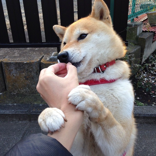 杀死比赛！范弗利特超越库里时刻的唯一性诠释