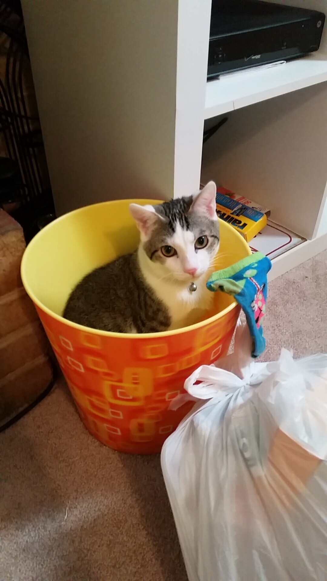 孤独骑士，当锡安在所有人的目光牢笼中劈开一条血路